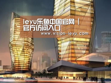 案例展示三