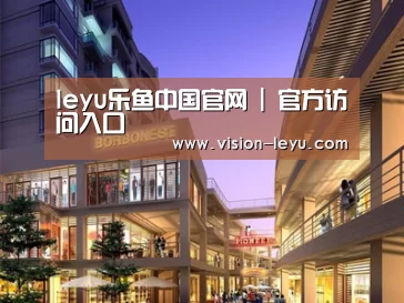 案例展示一