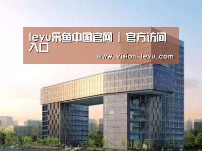 案例展示四