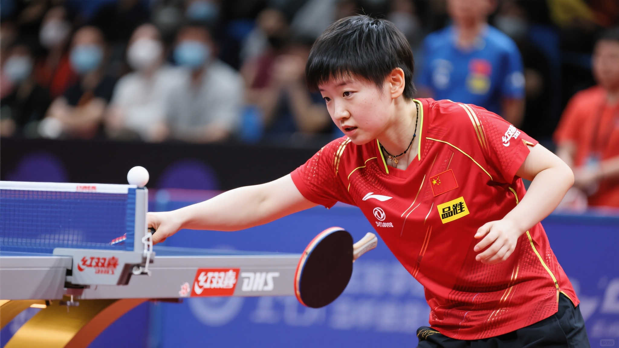 款融合岭南 款融合岭南