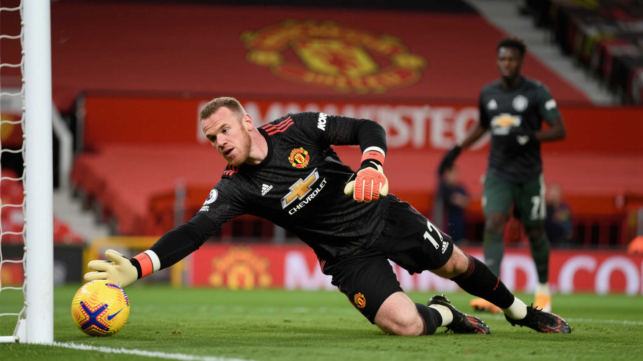 在近年来都 在近年来都