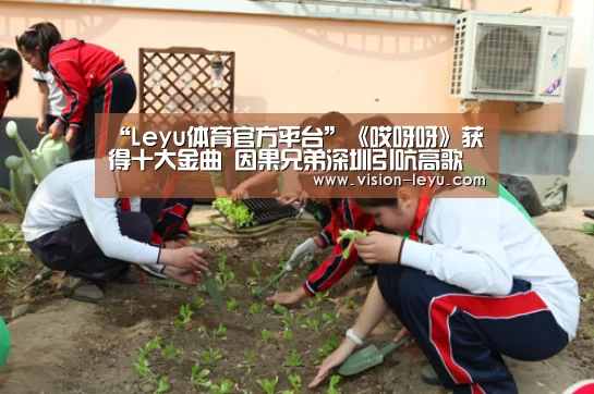 乐鱼体育平台