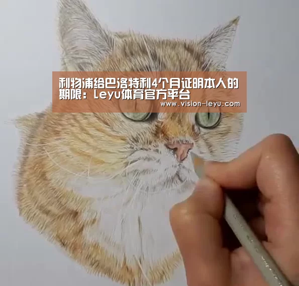 利物浦给巴洛特利4个月证明本人的期限:Leyu体育官方平台(图1) 乐鱼体育平台